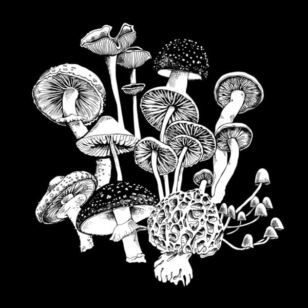 MUSHROOM TEE - Image 6