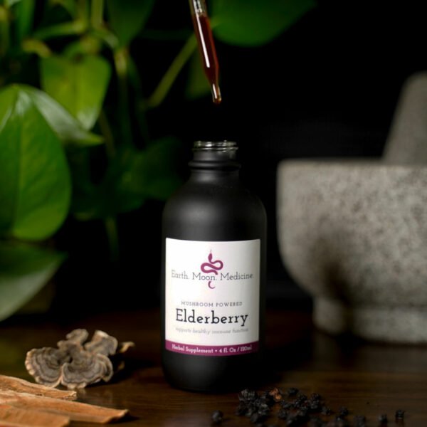 Elderberry syrup with reishi and turkey tail mushroom